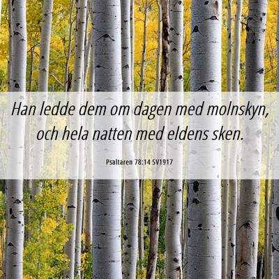 Picture 06 - Psaltaren 78:14 SV1917 - Han ledde dem om dagen med molnskyn, och hela - Bible Verse Picture