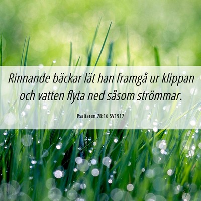 Picture 06 - Psaltaren 78:16 SV1917 - Rinnande bäckar lät han framgå ur klippan och - Bible Verse Picture