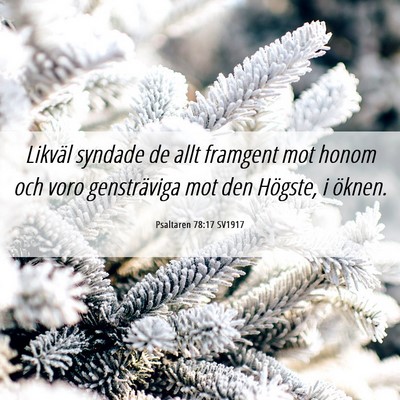 Picture 06 - Psaltaren 78:17 SV1917 - Likväl syndade de allt framgent mot honom och - Bible Verse Picture