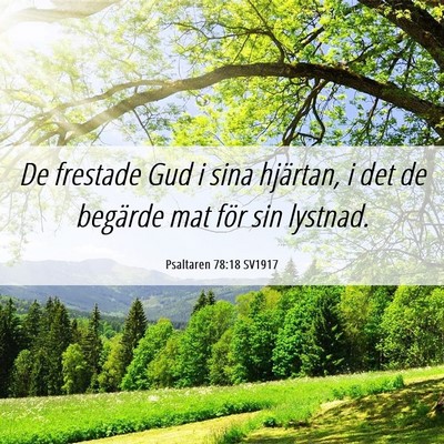 Picture 06 - Psaltaren 78:18 SV1917 - De frestade Gud i sina hjärtan, i det de - Bible Verse Picture