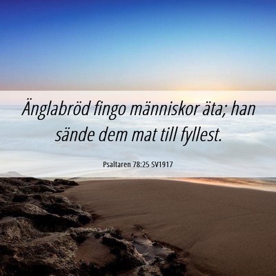 Picture 06 - Psaltaren 78:25 SV1917 - Änglabröd fingo människor äta; han sände dem - Bible Verse Picture