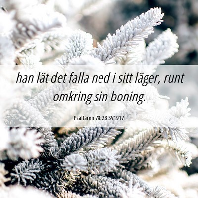 Picture 06 - Psaltaren 78:28 SV1917 - han lät det falla ned i sitt läger, runt - Bible Verse Picture