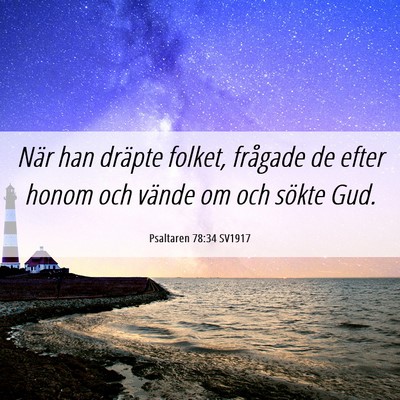 Picture 06 - Psaltaren 78:34 SV1917 - När han dräpte folket, frågade de efter honom - Bible Verse Picture