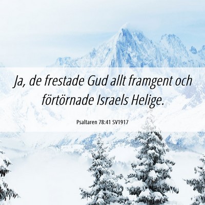 Picture 06 - Psaltaren 78:41 SV1917 - Ja, de frestade Gud allt framgent och - Bible Verse Picture