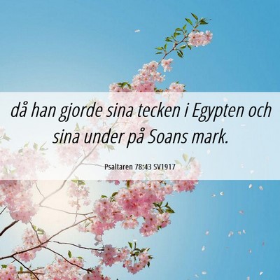Picture 06 - Psaltaren 78:43 SV1917 - då han gjorde sina tecken i Egypten och sina - Bible Verse Picture