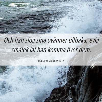 Picture 06 - Psaltaren 78:66 SV1917 - Och han slog sina ovänner tillbaka, evig smälek - Bible Verse Picture
