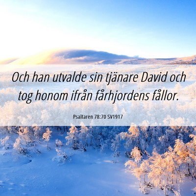 Picture 06 - Psaltaren 78:70 SV1917 - Och han utvalde sin tjänare David och tog honom - Bible Verse Picture
