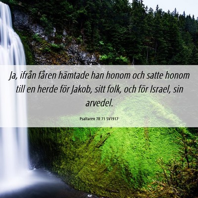 Picture 06 - Psaltaren 78:71 SV1917 - Ja, ifrån fåren hämtade han honom och satte - Bible Verse Picture