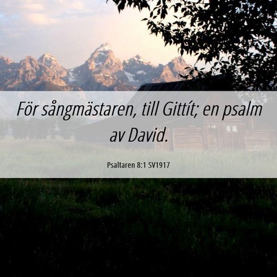 Picture 06 - Psaltaren 8:1 SV1917 - För sångmästaren, till Gittít; en psalm av - Bible Verse Picture