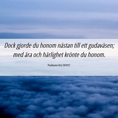 Picture 06 - Psaltaren 8:6 SV1917 - Dock gjorde du honom nästan till ett gudaväsen; - Bible Verse Picture