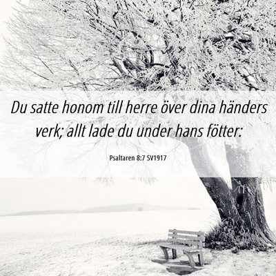 Picture 06 - Psaltaren 8:7 SV1917 - Du satte honom till herre över dina händers - Bible Verse Picture