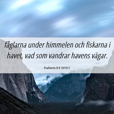 Picture 06 - Psaltaren 8:9 SV1917 - fåglarna under himmelen och fiskarna i havet, - Bible Verse Picture