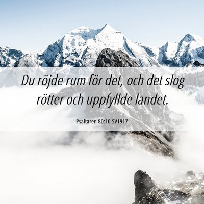 Picture 06 - Psaltaren 80:10 SV1917 - Du röjde rum för det, och det slog rötter och - Bible Verse Picture
