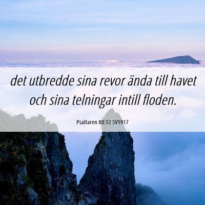 Picture 06 - Psaltaren 80:12 SV1917 - det utbredde sina revor ända till havet och sina - Bible Verse Picture