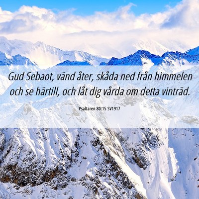 Picture 06 - Psaltaren 80:15 SV1917 - Gud Sebaot, vänd åter, skåda ned från - Bible Verse Picture