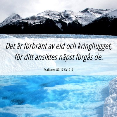 Picture 06 - Psaltaren 80:17 SV1917 - Det är förbränt av eld och kringhugget; för - Bible Verse Picture