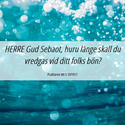 Picture 06 - Psaltaren 80:5 SV1917 - HERRE Gud Sebaot, huru länge skall du vredgas - Bible Verse Picture