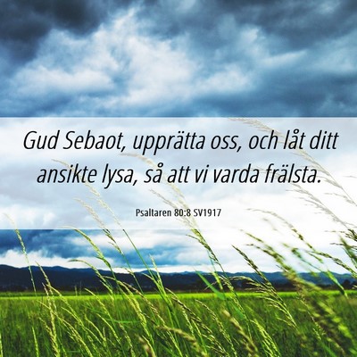 Picture 06 - Psaltaren 80:8 SV1917 - Gud Sebaot, upprätta oss, och låt ditt ansikte - Bible Verse Picture