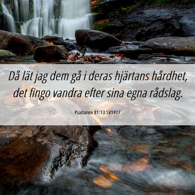 Picture 06 - Psaltaren 81:13 SV1917 - Då lät jag dem gå i deras hjärtans hårdhet, - Bible Verse Picture