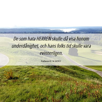 Picture 06 - Psaltaren 81:16 SV1917 - De som hata HERREN skulle då visa honom - Bible Verse Picture