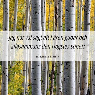 Picture 06 - Psaltaren 82:6 SV1917 - Jag har väl sagt att I ären gudar och - Bible Verse Picture
