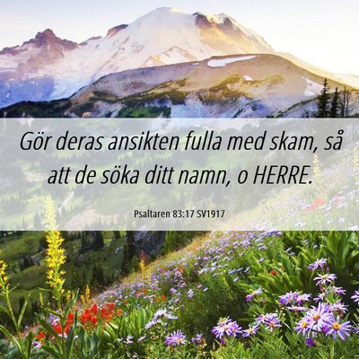 Picture 06 - Psaltaren 83:17 SV1917 - Gör deras ansikten fulla med skam, så att de - Bible Verse Picture