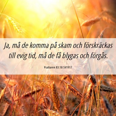 Picture 06 - Psaltaren 83:18 SV1917 - Ja, må de komma på skam och förskräckas till - Bible Verse Picture