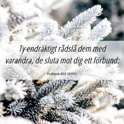 Picture 06 - Psaltaren 83:6 SV1917 - Ty endräktigt rådslå dem med varandra, de - Bible Verse Picture