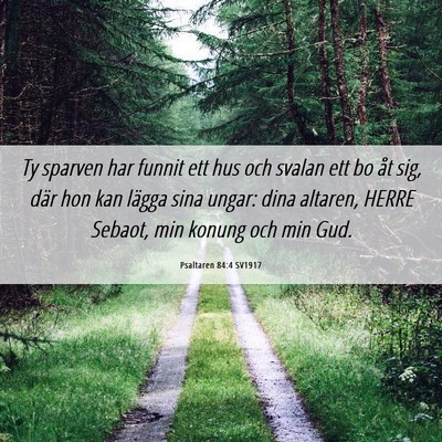 Picture 06 - Psaltaren 84:4 SV1917 - Ty sparven har funnit ett hus och svalan ett bo - Bible Verse Picture