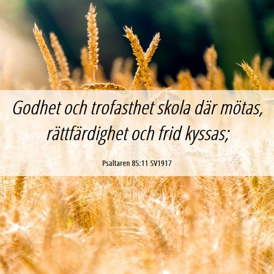 Picture 06 - Psaltaren 85:11 SV1917 - Godhet och trofasthet skola där mötas, - Bible Verse Picture