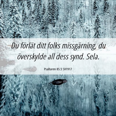 Picture 06 - Psaltaren 85:3 SV1917 - Du förlät ditt folks missgärning, du - Bible Verse Picture