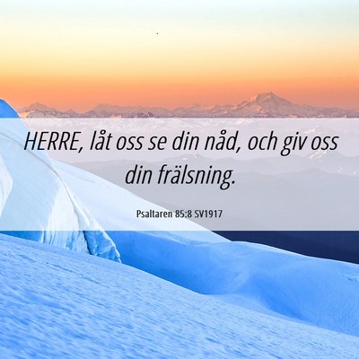 Picture 06 - Psaltaren 85:8 SV1917 - HERRE, låt oss se din nåd, och giv oss din - Bible Verse Picture