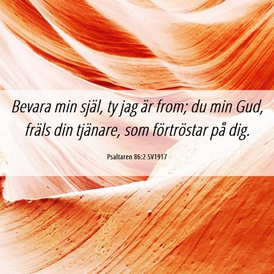 Picture 06 - Psaltaren 86:2 SV1917 - Bevara min själ, ty jag är from; du min Gud, - Bible Verse Picture