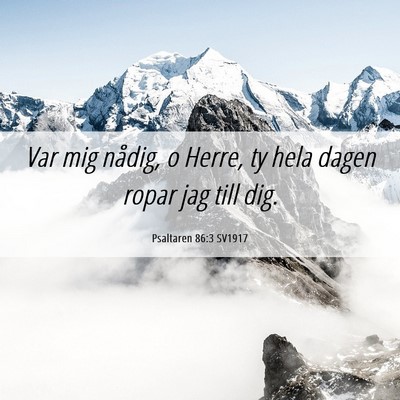Picture 06 - Psaltaren 86:3 SV1917 - Var mig nådig, o Herre, ty hela dagen ropar jag - Bible Verse Picture