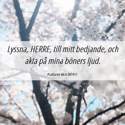Picture 06 - Psaltaren 86:6 SV1917 - Lyssna, HERRE, till mitt bedjande, och akta på - Bible Verse Picture