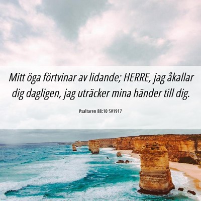 Picture 06 - Psaltaren 88:10 SV1917 - Mitt öga förtvinar av lidande; HERRE, jag - Bible Verse Picture