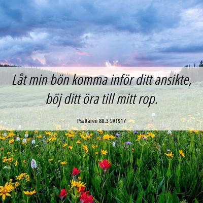 Picture 06 - Psaltaren 88:3 SV1917 - Låt min bön komma inför ditt ansikte, böj - Bible Verse Picture