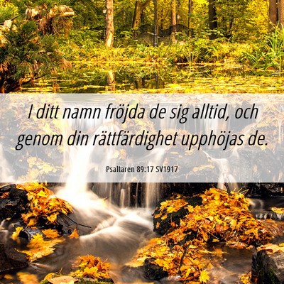Picture 06 - Psaltaren 89:17 SV1917 - I ditt namn fröjda de sig alltid, och genom din - Bible Verse Picture