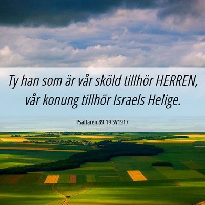 Picture 06 - Psaltaren 89:19 SV1917 - Ty han som är vår sköld tillhör HERREN, vår - Bible Verse Picture
