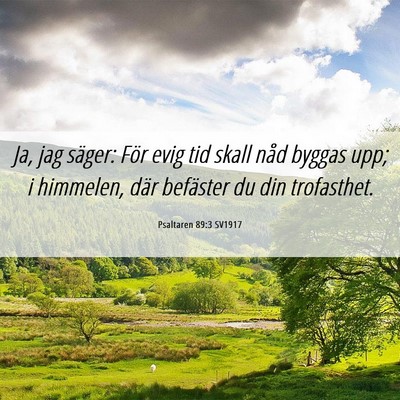 Picture 06 - Psaltaren 89:3 SV1917 - Ja, jag säger: För evig tid skall nåd byggas - Bible Verse Picture