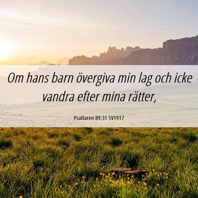 Picture 06 - Psaltaren 89:31 SV1917 - Om hans barn övergiva min lag och icke vandra - Bible Verse Picture
