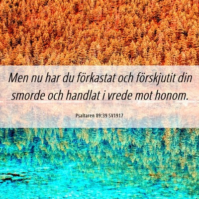 Picture 06 - Psaltaren 89:39 SV1917 - Men nu har du förkastat och förskjutit din - Bible Verse Picture