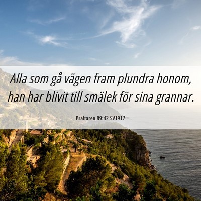 Picture 06 - Psaltaren 89:42 SV1917 - Alla som gå vägen fram plundra honom, han har - Bible Verse Picture