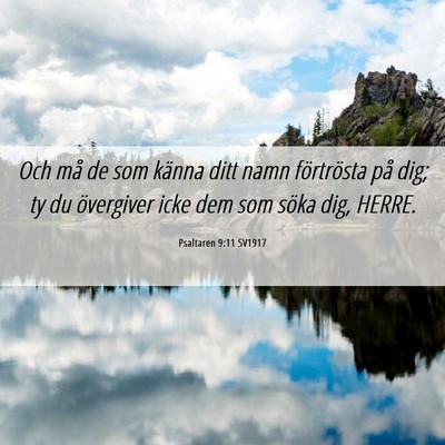 Picture 06 - Psaltaren 9:11 SV1917 - Och må de som känna ditt namn förtrösta på - Bible Verse Picture