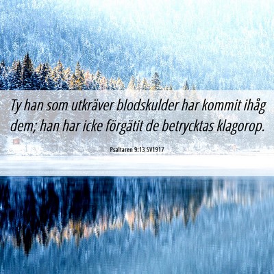 Picture 06 - Psaltaren 9:13 SV1917 - Ty han som utkräver blodskulder har kommit ihåg - Bible Verse Picture