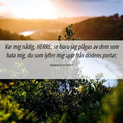 Picture 06 - Psaltaren 9:14 SV1917 - Var mig nådig, HERRE; se huru jag plågas av dem - Bible Verse Picture