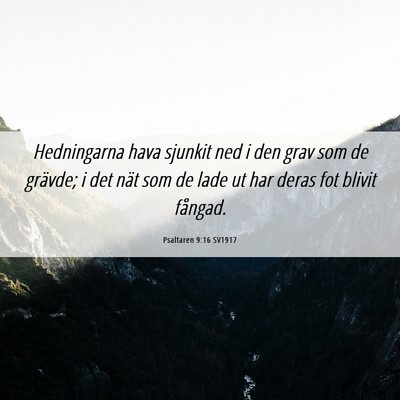 Picture 06 - Psaltaren 9:16 SV1917 - Hedningarna hava sjunkit ned i den grav som de - Bible Verse Picture