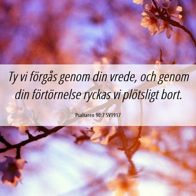 Picture 06 - Psaltaren 90:7 SV1917 - Ty vi förgås genom din vrede, och genom din - Bible Verse Picture