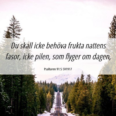 Picture 06 - Psaltaren 91:5 SV1917 - Du skall icke behöva frukta nattens fasor, icke - Bible Verse Picture