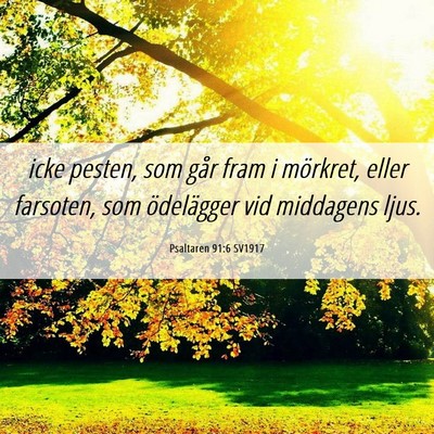 Picture 06 - Psaltaren 91:6 SV1917 - icke pesten, som går fram i mörkret, eller - Bible Verse Picture
